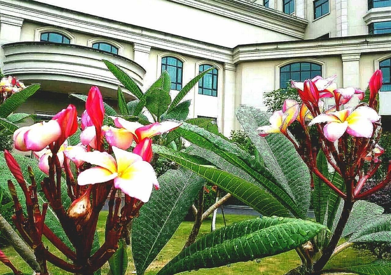 LN Dongfang Hotel, Sihui Luaran gambar